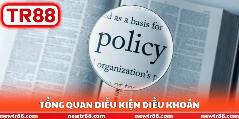 Tổng quan điều kiện điều khoản